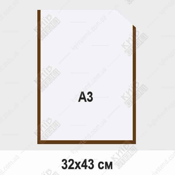 Пластиковый карман А3 вертикальный прозрачный с коричневой окантовкой