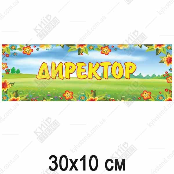 Табличка в дитячий садок Директор (19317)